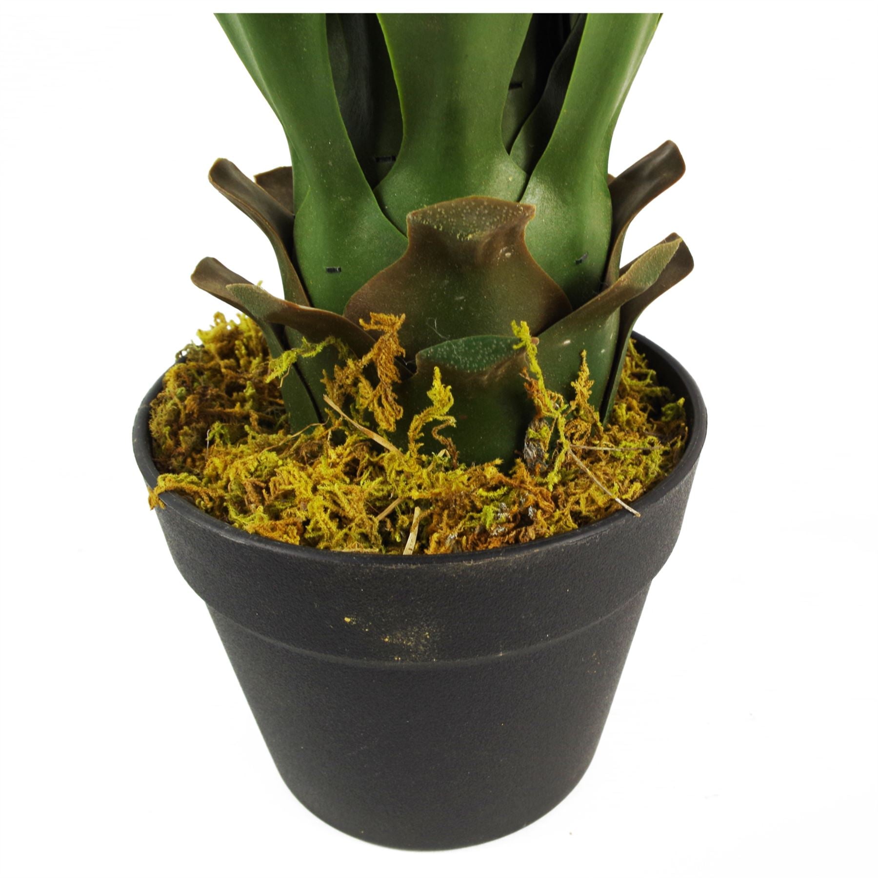 55cm Artificial Tropical Yucca Plant