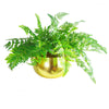 Leaf Metal Planter Edge Metal Planter GOLD XL