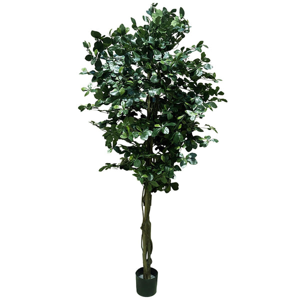180cm Fire Retardant Black Olive Tree with 2925 Leaves and Natural Trunk