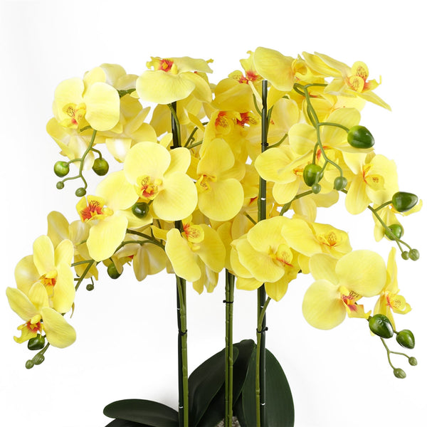 Orchid Yellow - Black Ceramic Planter