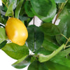 Large Lemon Tree  Artificial  150cm Premium Plant