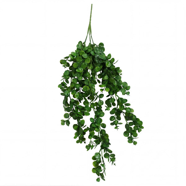 75cm Artificial Trailing Round Leaf Hanging Foliage Plant - Deep Forest Green