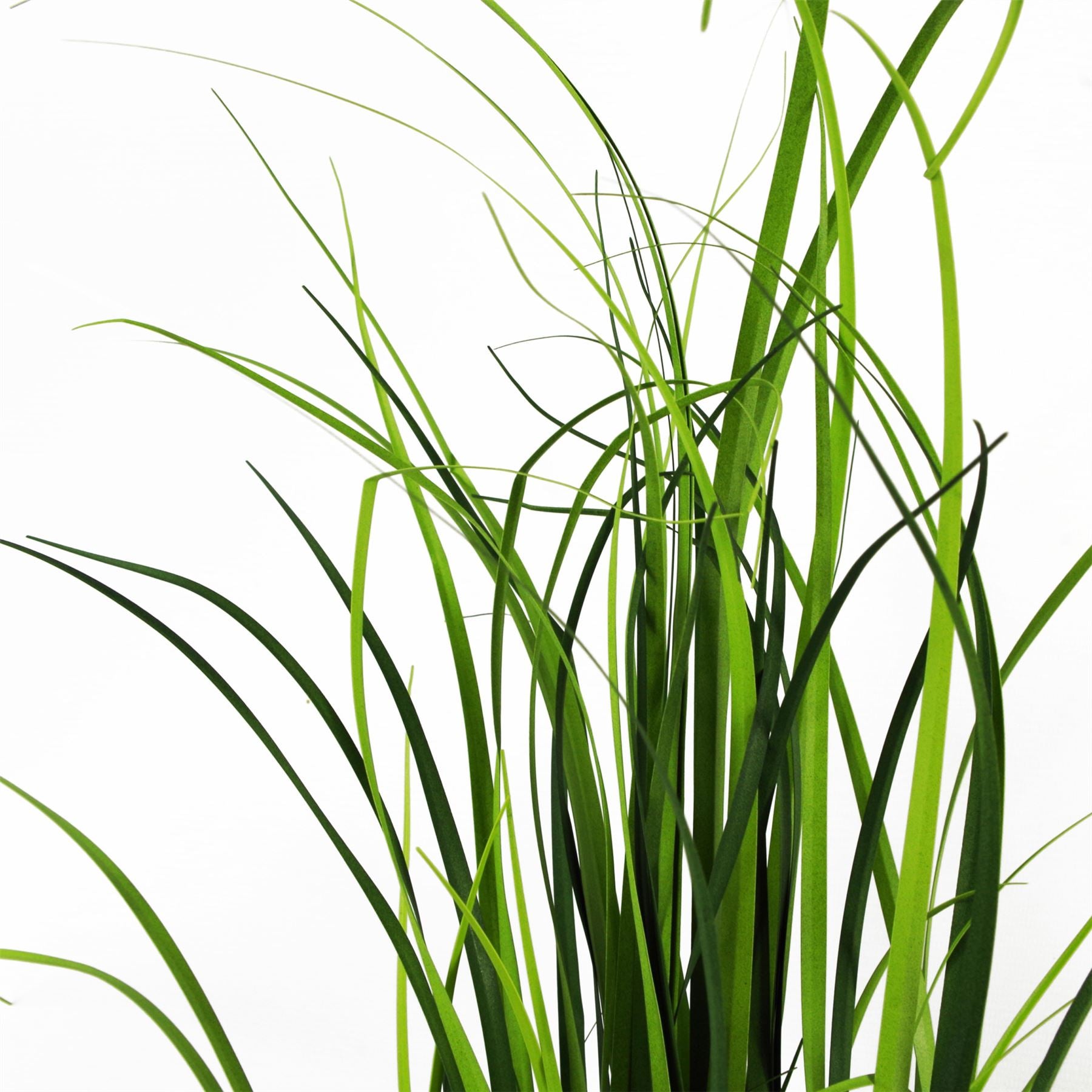 Artificial Grass Plant Lemongrass Grass Plant 60cm Plants