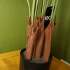 Artificial Areca Palm Tree Potted in Black Pot 150cm Botanik