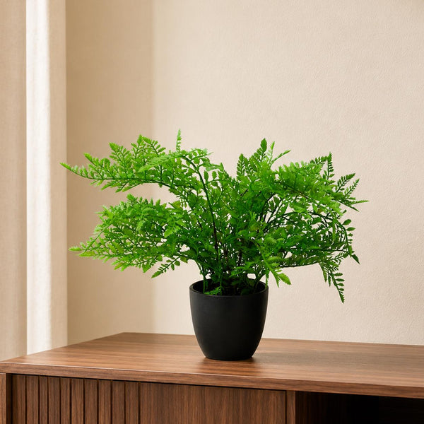 Artificial Fern Plant Realistic 30cm Woodland Fern Black Plant Pot