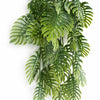 80cm Trailing Tropical Monstera Plant - Sage Green - Premium Quality