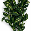 Pack of 6 x 45cm Artificial Variegated Foliage Spray Stem