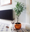 Artificial Olive Tree Bush by Leaf Design UK Artificial Olive Tree Black Pot Botanik