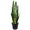 Tropical Artificial Plants 70cm Sansevieria Zeylanica 70cm Plants