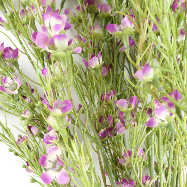 Pack of 6 x 100cm Artificial Foliage Stem with Small Flowers - Purple - Premium Quality