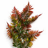 50cm Artificial Fern Spray Stem - Autumn Orange