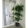 Artificial Ficus Triple Ball Tree 6ft