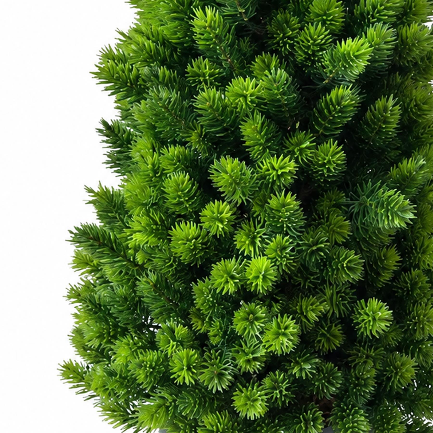 34cm Artificial Mini Pine Tree in Grey Pot