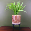 Artificial Grass Plant Planter Ceramic & Metal Stand Botanik