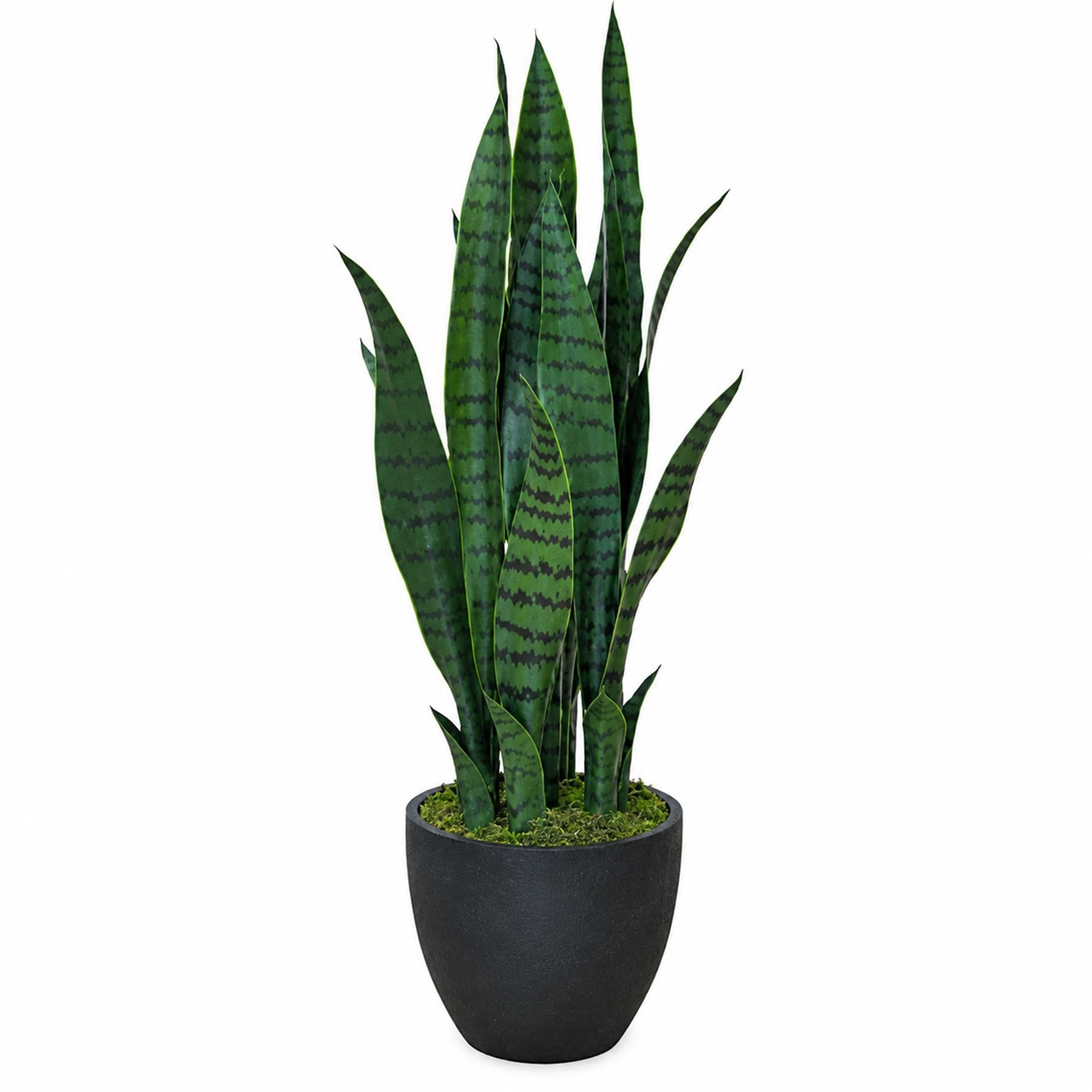 70cm Artificial Sansevieria Dark Green - Premium Quality