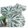 Artificial Hanging Plant Begonia Plant Pack x 6