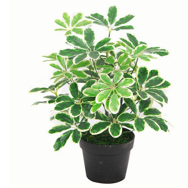 Artificial Bush Arboricola Plant 55cm Small Bush