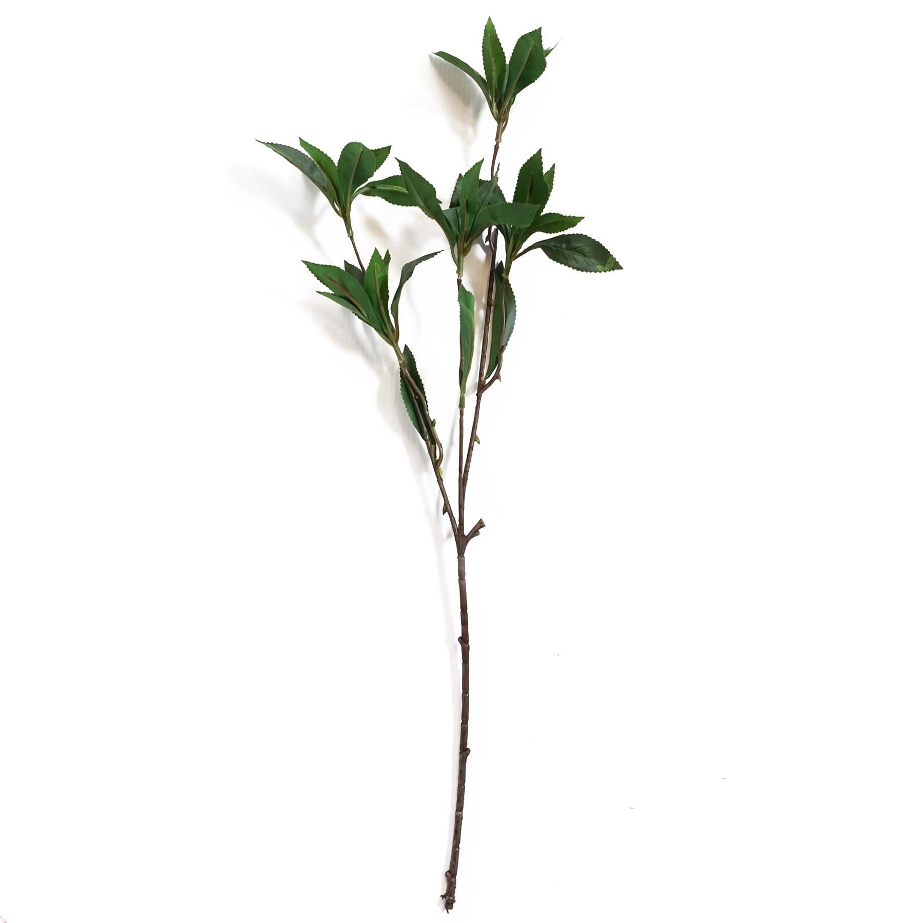 Pack of 6 x 55cm Artificial Laurel Leaf Spray Stem