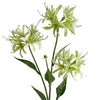 Pack of 6 x 72cm Artificial Lime Green Spider Lily Stems