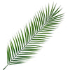 Pack of 6 x Artificial Foliage Realistic Palm Leaf 100cm