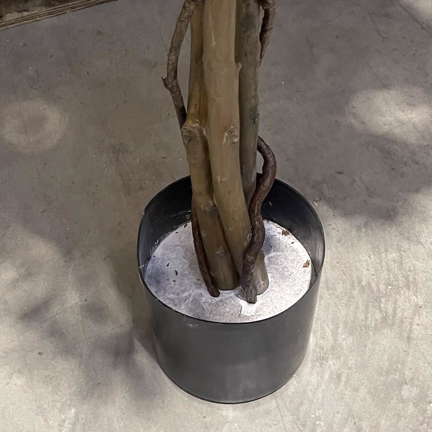 180cm Fire Retardant Black Olive Tree with 2925 Leaves and Natural Trunk - Premium Quality