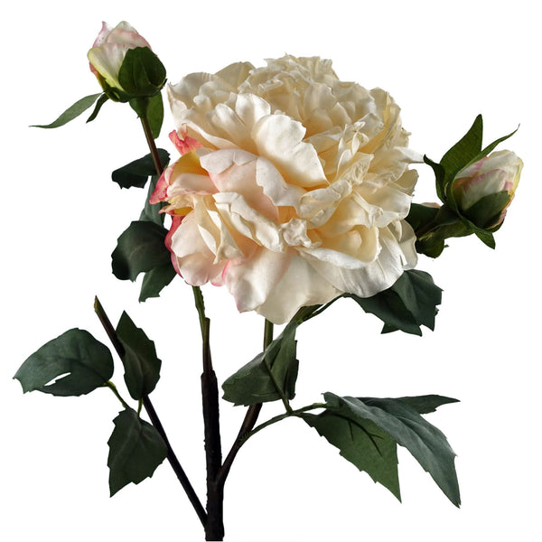 6 x 60cm Peony Artificial Flower Cream - 6 flowers 18 buds - Premium Quality