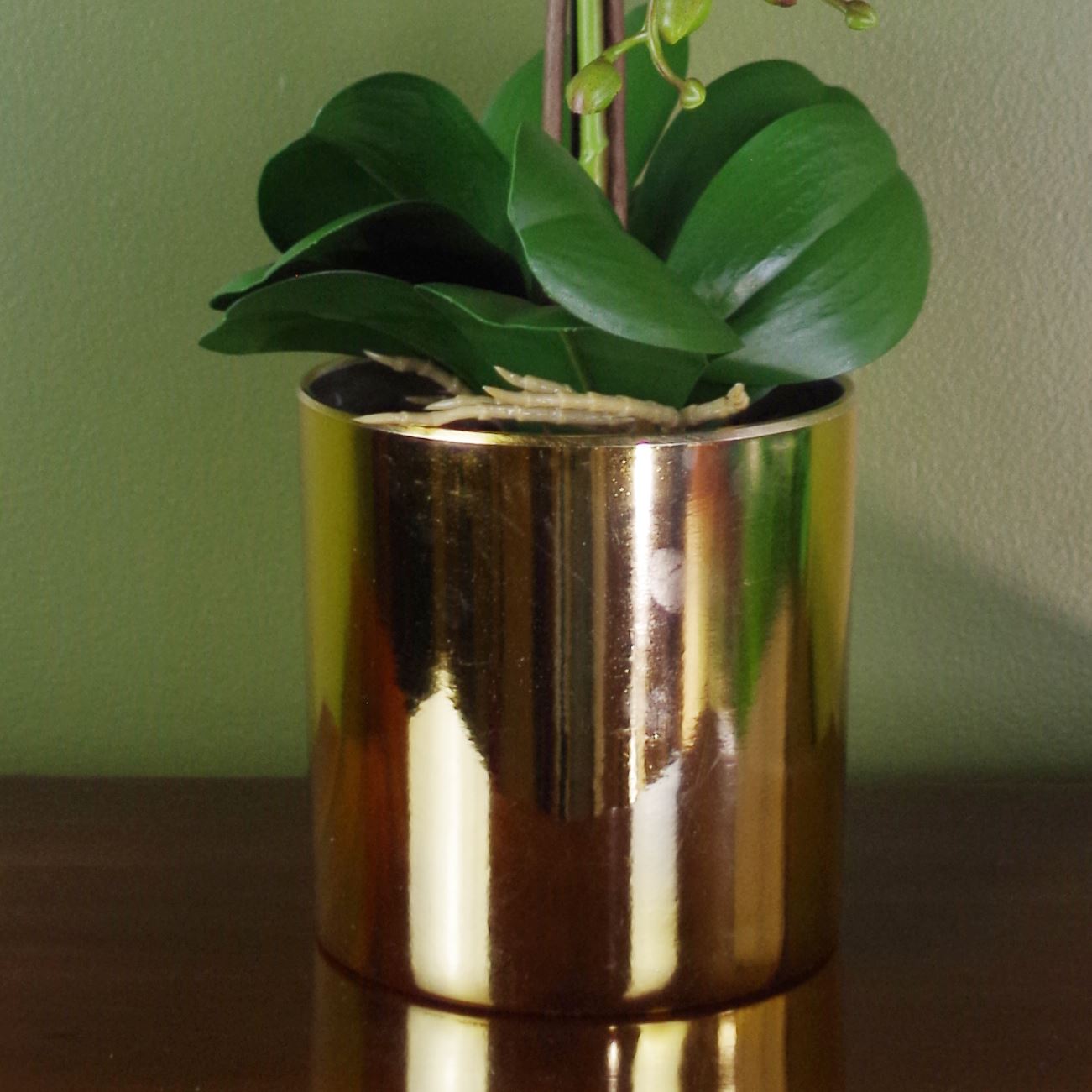 52cm Artificial Orchid Large - White and Gold