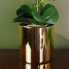 52cm Artificial Orchid Large - White and Gold