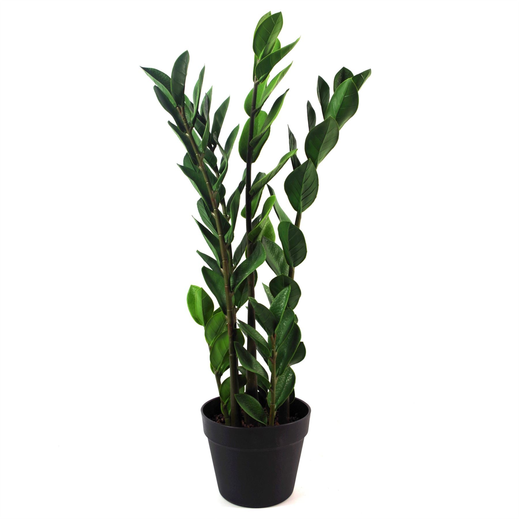 Large Artificial Plant Foliage 75cm Zanzibar Gem Leaf Design Realistic Plant Botanik