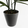 Artificial Palm Tree in Decorative Planter