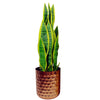 Honeycomb Metal Planter - Copper - 18cm x 15.5cm - Premium Quality