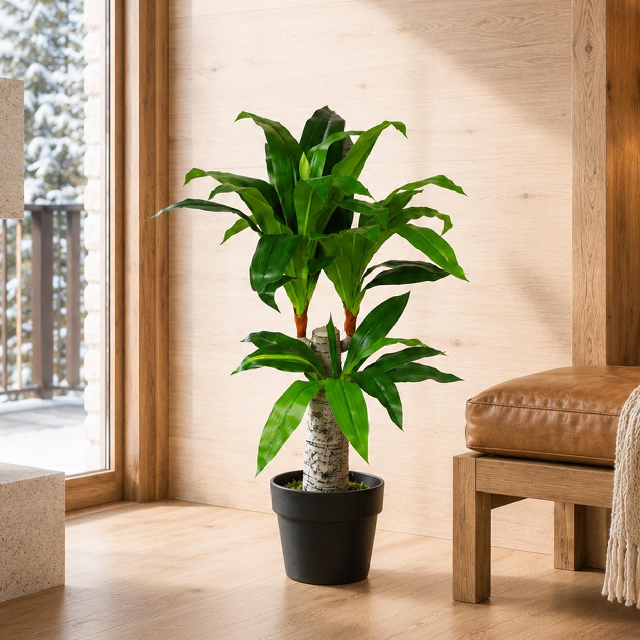 75cm Artificial Dracaena Plant - Wide Trunk Triple Branch