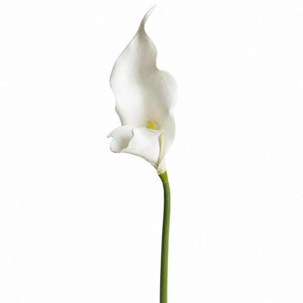 Pack of 6 x 70cm Artificial White Calla Lily Stems