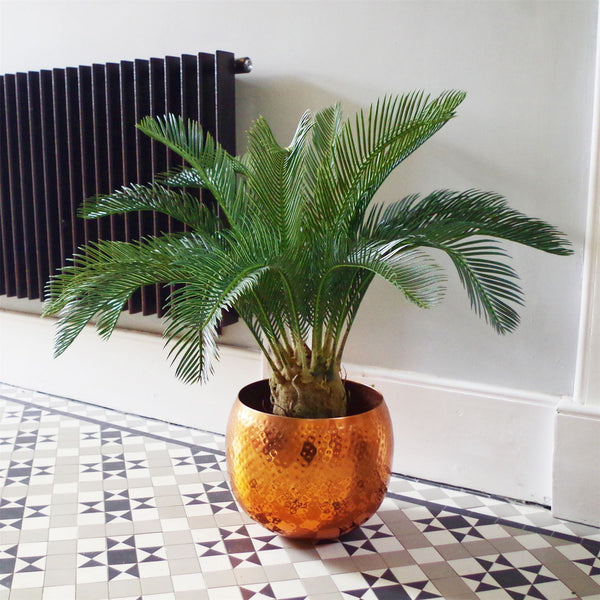 Large Artificial Palm Tree 80cm Cycas Realistic Plant Leaf Design UK Botanik