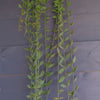 120cm Artificial Hanging Extra Long String of Pearls
