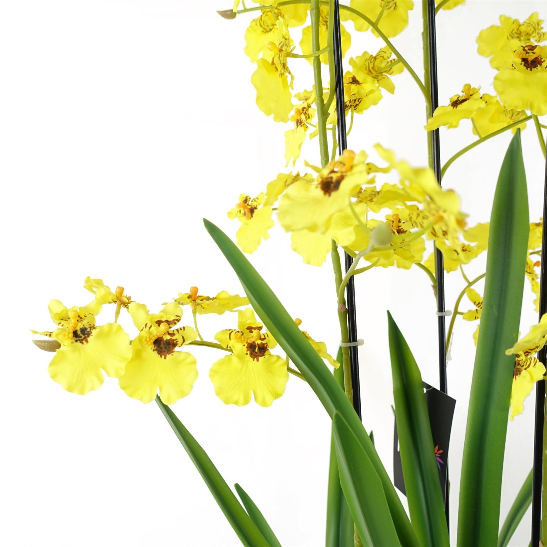 Artificial Orchid Yellow in Stoneware Planter Botanik