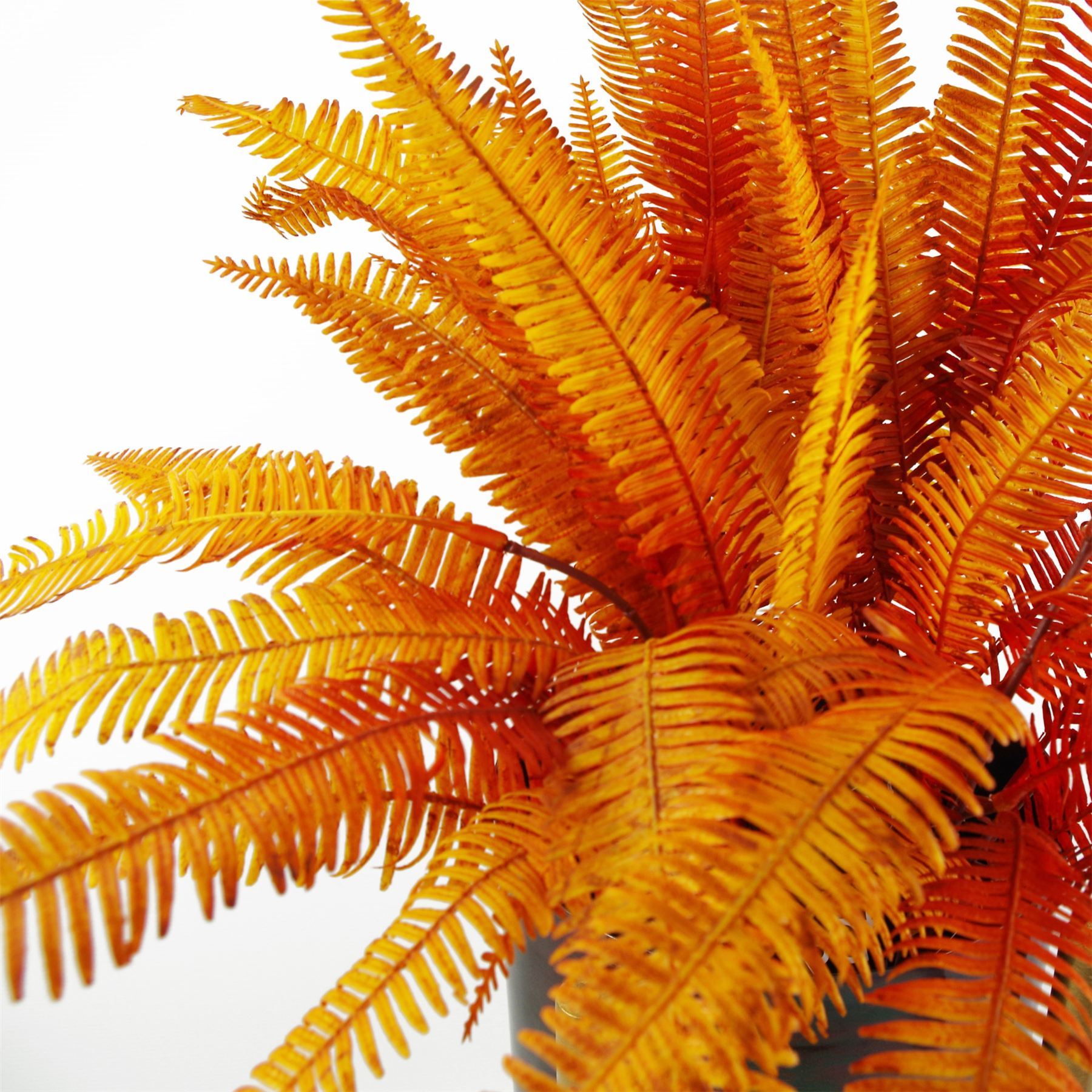 6 x 55cm Artificial Autumn Fern Bush Plant - Premium Quality