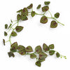 Pack of 6 x 160cm Artificial Watermelon Peperomia Botanik Garland Hanging Decoration - Premium Quality