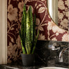 Artificial Plant Tropical Snake Plant Zeylanica Sansevieria 70cm Sansevieria Botanik