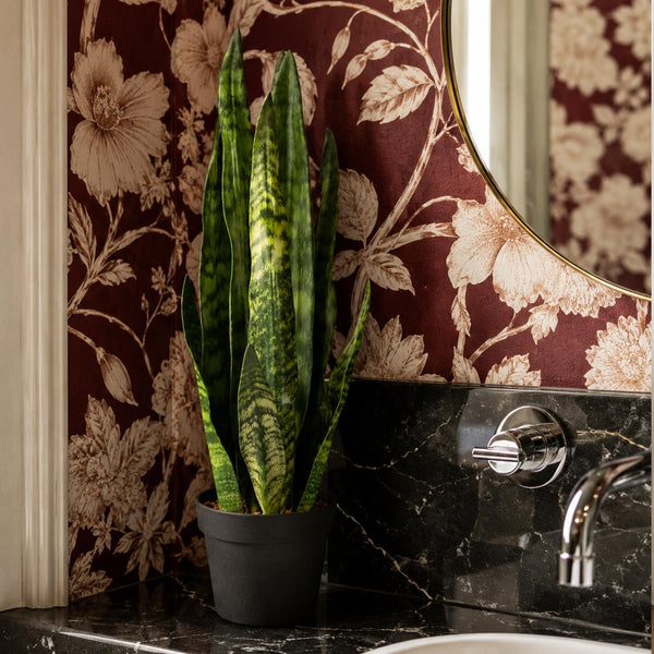 Artificial Plant Tropical Snake Plant Zeylanica Sansevieria 70cm Sansevieria Botanik