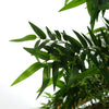 Leaf Design 120cm Artificial Oriental Bamboo Plant