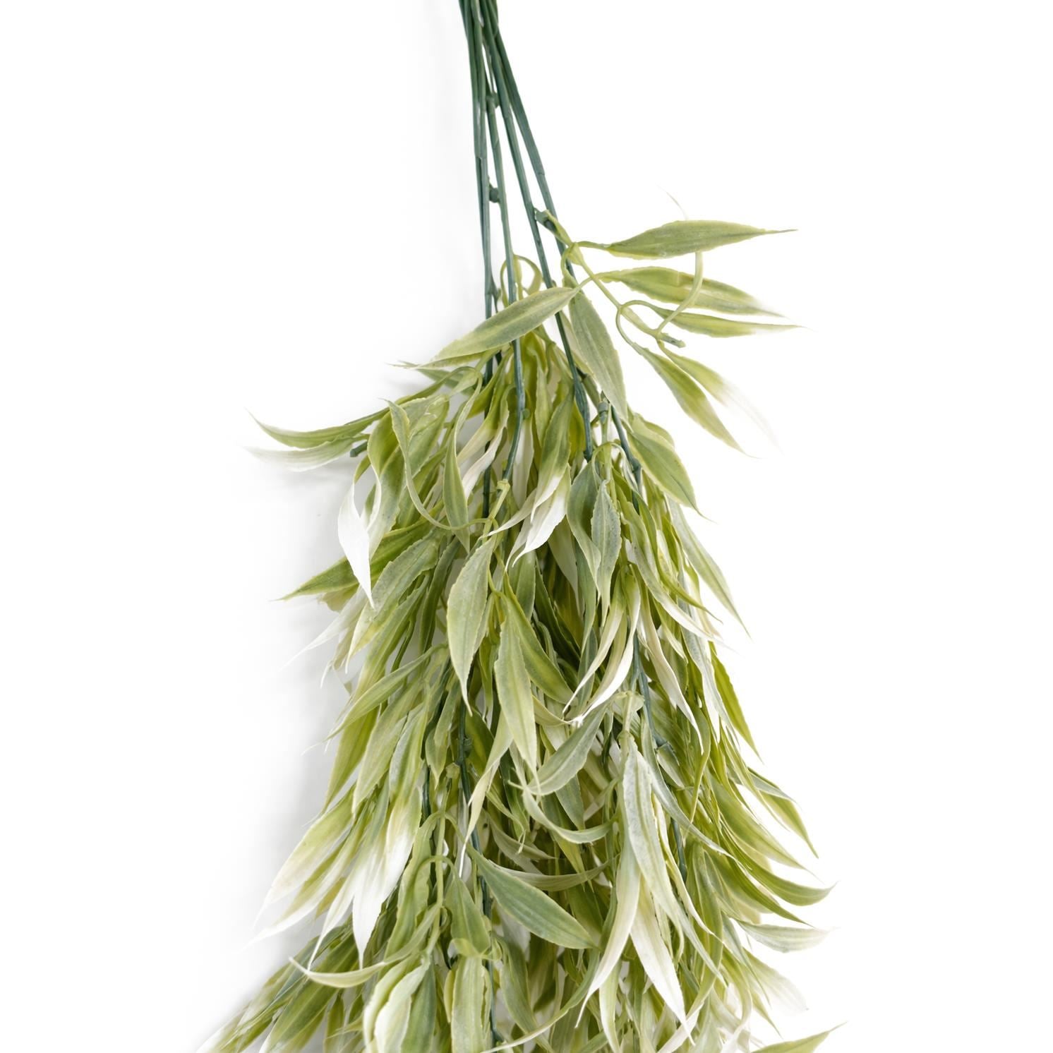 Pack of 6 x 80cm Italian Ruscus Hanging Plant with Realistic Foliage - Light Green