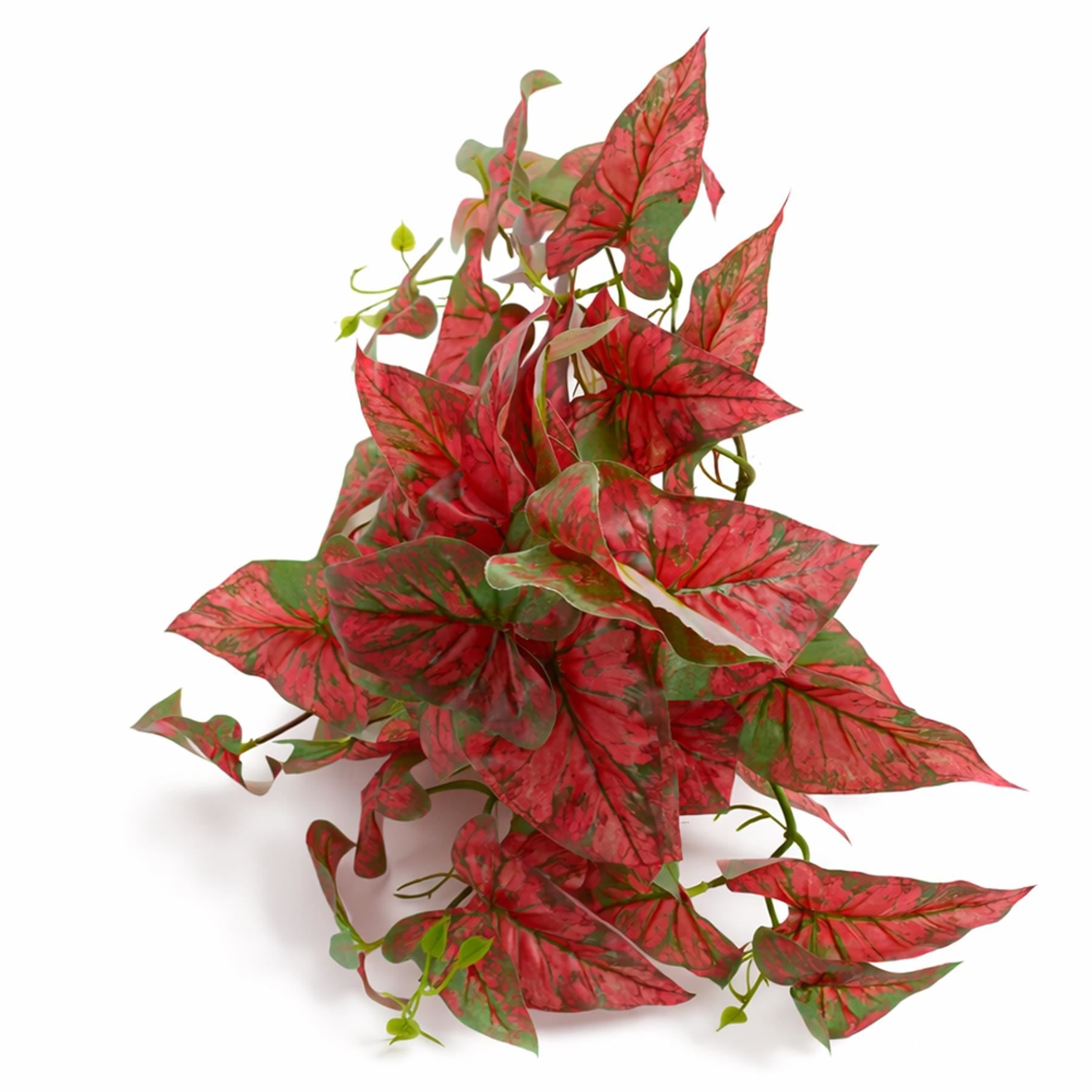 30cm Artificial Trailing Red Caladium - Premium Quality