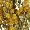 Pack of 6 x 85cm Craspedia Stem Yellow Artificial - Premium Quality