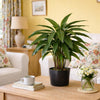 Artificial Foliage Plant Pot Green 60cm Artificial Calathea