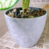 Artificial Plant Realistic Natural Taro in Decorative Planter Botanik