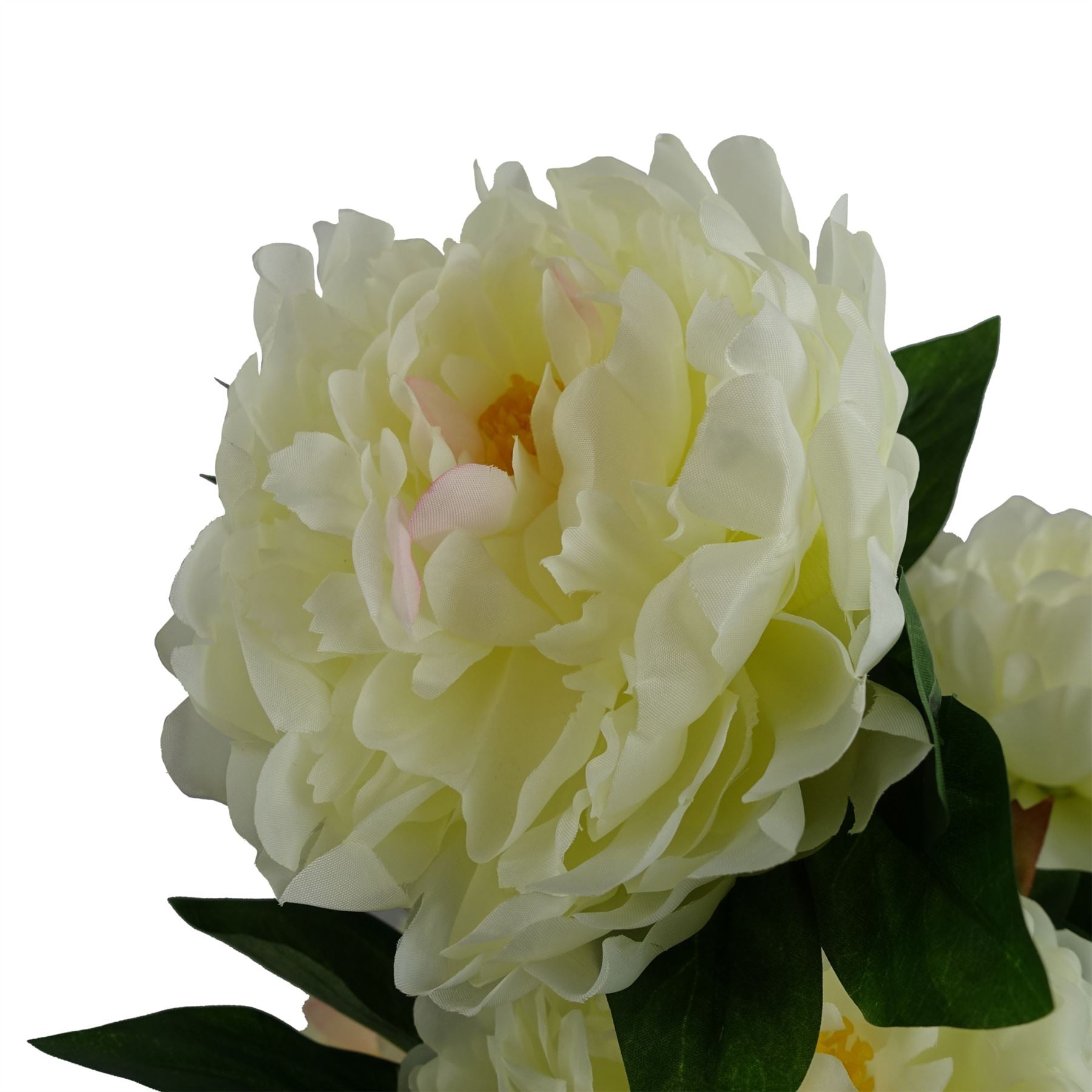 55cm Artificial White Peony Plant