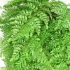 Artificial Hanging Fern Ball - Extra Large 110cm