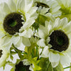 Pack of 6 x 88cm White Artificial Sunflower - 18 heads - Premium Quality
