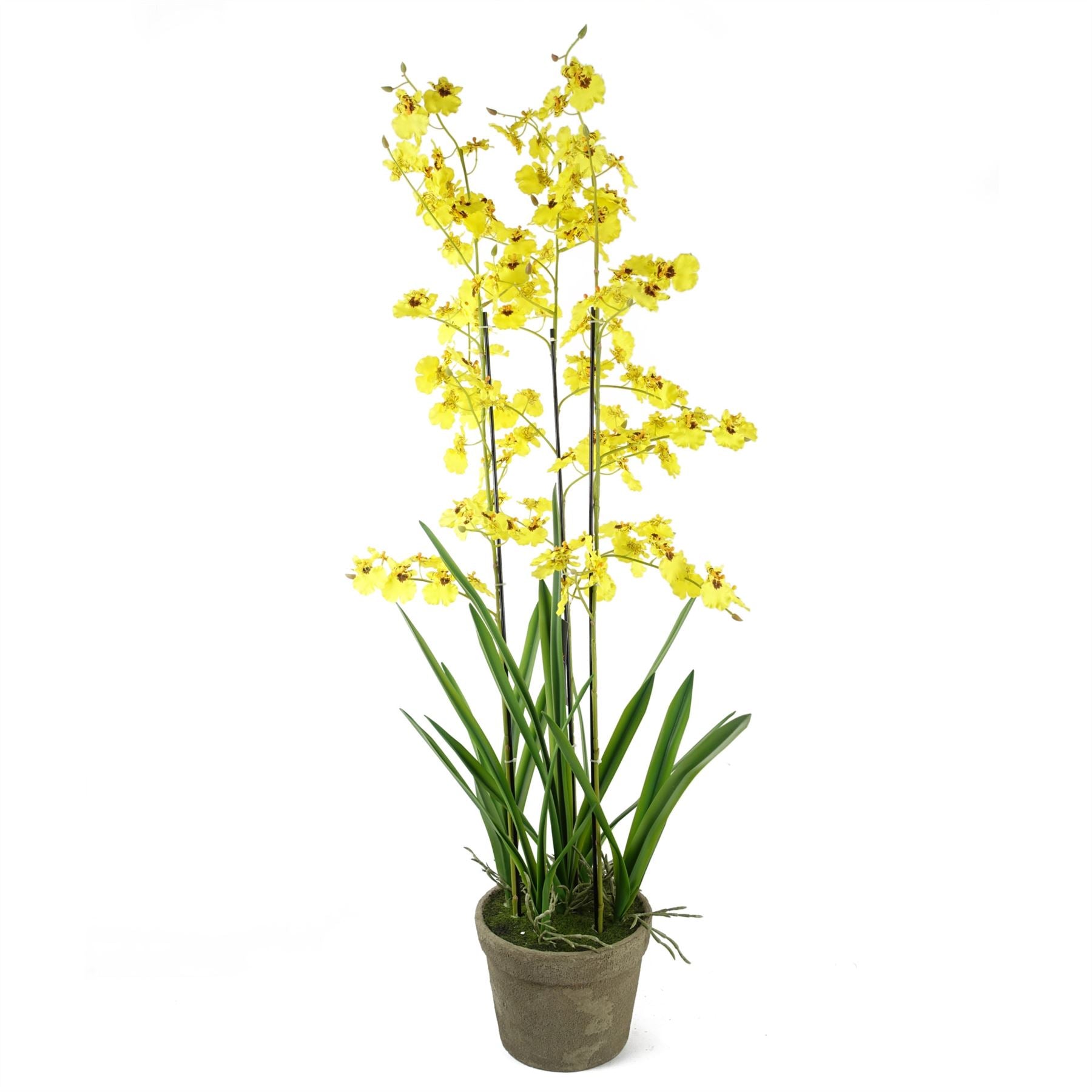 Artificial Orchid Yellow in Stoneware Planter Botanik